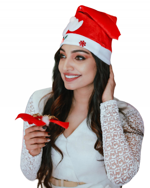 Cute Santa PNG Transparent Images Free
