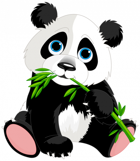 Cute toon panda hd png