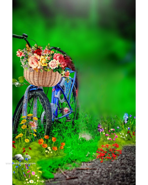 Cycle flower cb background editor