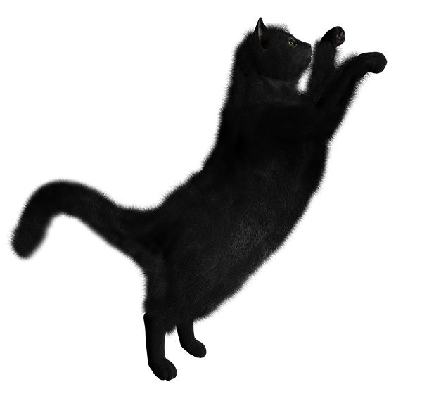 dark shadow Cat Png Transparent Background