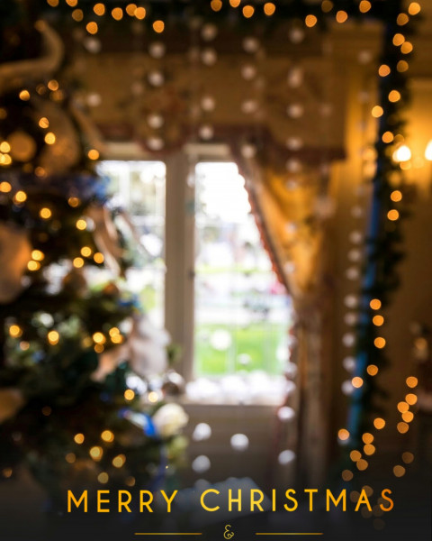 December christmas editing backgrounds