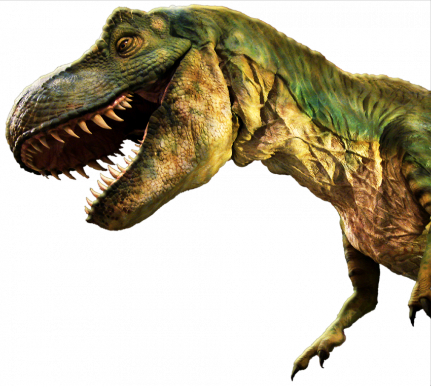 Dinosaur full hd png, Dinosaur transparent background