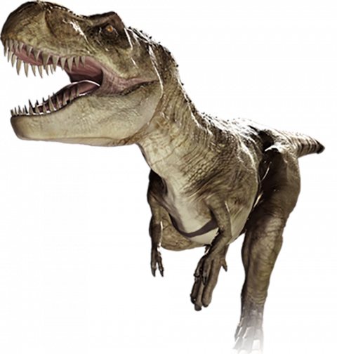 Dinosaur full hd png images, Dinosaur transparent background