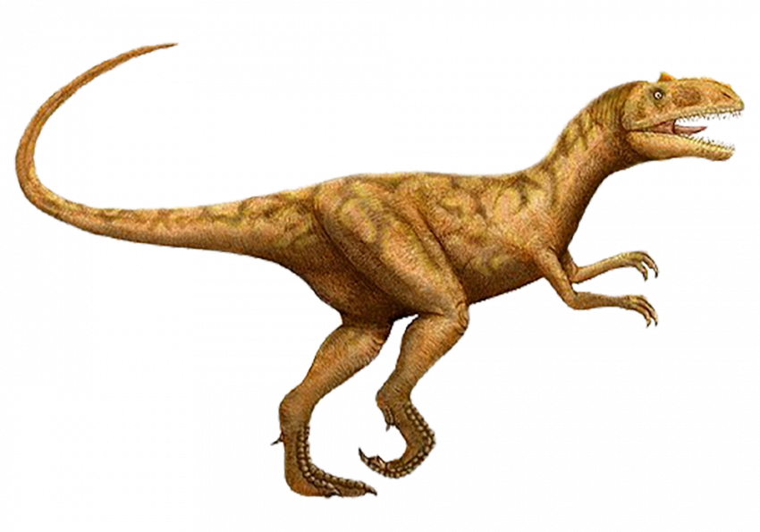 Dinosaur hd png,Dinosaur transparent background