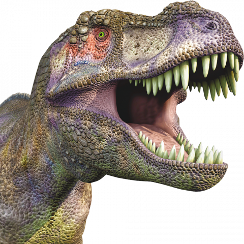 Dinosaur mouth transparent png , Hd Dinosaur transparent background
