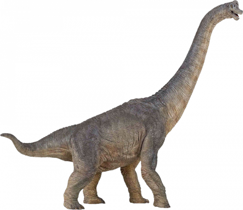 Dinosaur transparent png,Hd Dinosaur pngt images