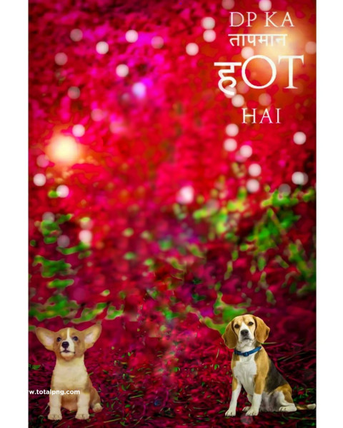 Dogs cb background editing