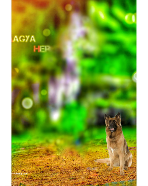 Dogs cb photo editing background,Hd cb background