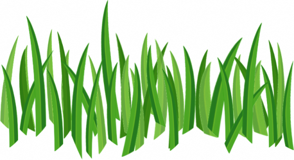 Download PNG image   Grass Png Image Green Grass Png Picture (1)