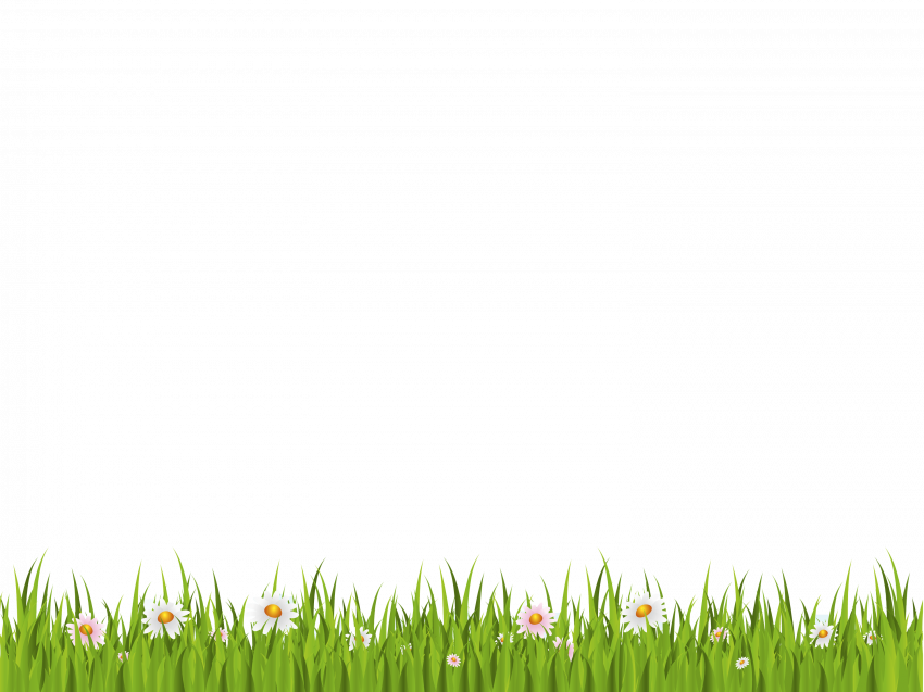 Download PNG image   Grass Png Image Green Grass Png Picture (3)
