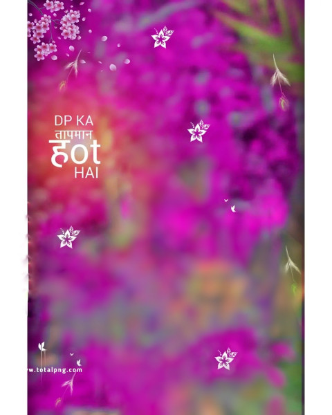 Dp background photo editing hd