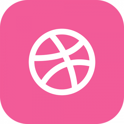 dribbble Full Logo PNG Image