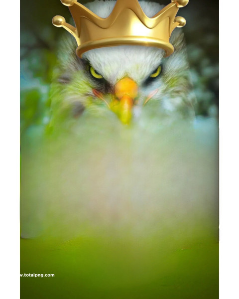 Eagle cb editing background