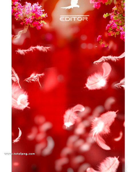 Editor blur cb background hd