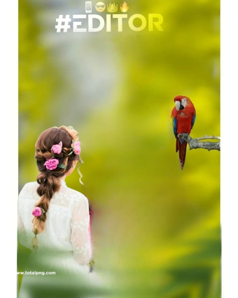 Editor hd cb editing background