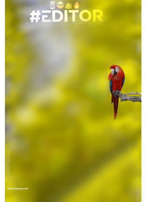 Editor hd cb editing background Snapseed