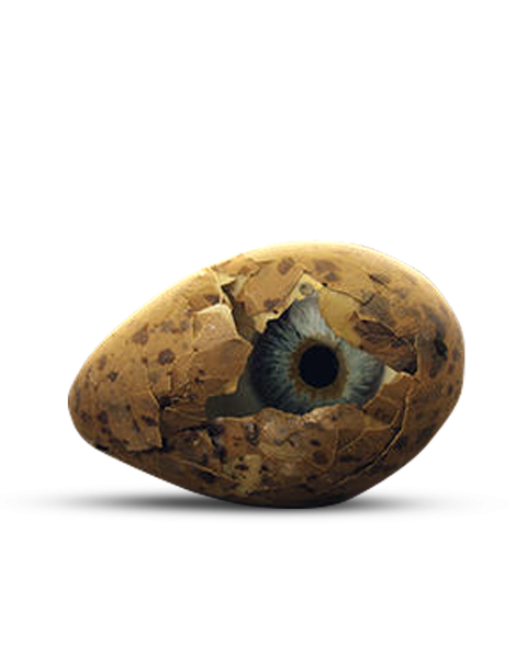 Eye in egg transparent png ,Egg editing png