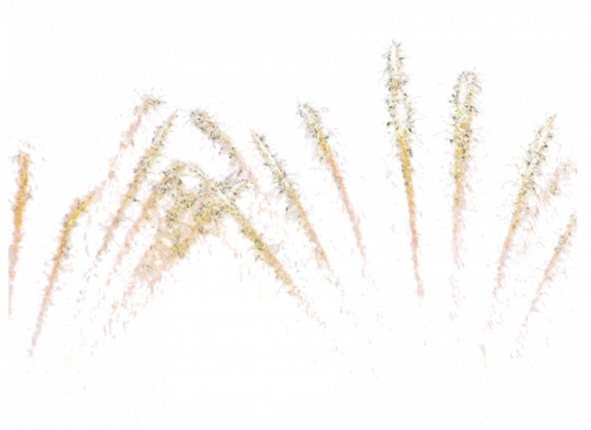 fireworks png images,fireworks  transparent png