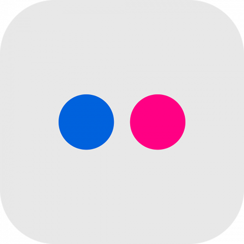 Flicker Full Logo PNG Image