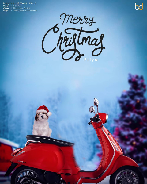 Free christmas editing backgrounds