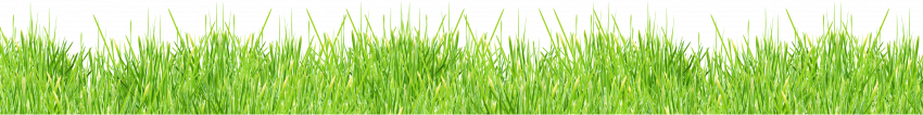 Free Png Download Grass Vector Png Images Background (3)