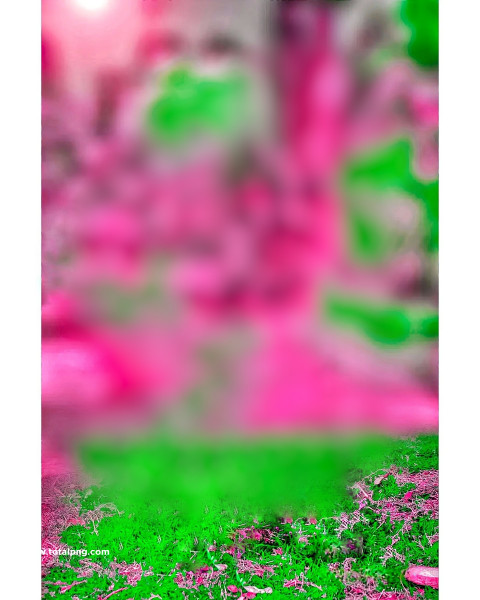 Full blur hd cb editing background snapseed