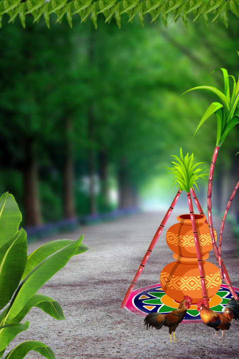 Full hd makar sankranti editing background