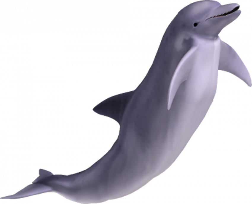 Full hd transparent background