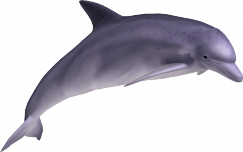 Full hd transparent png