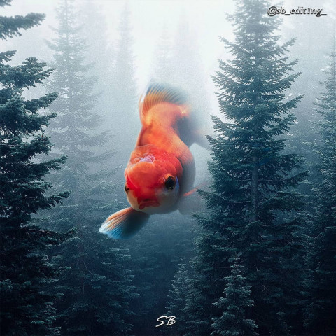 Full hd visual background (3)