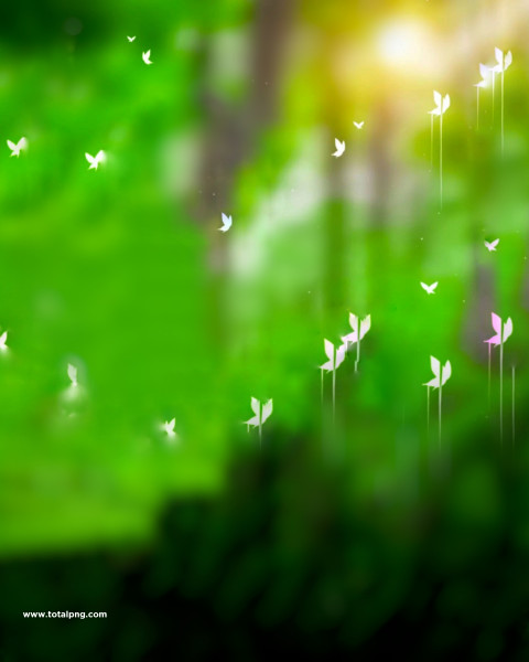 Glowing butterflies cb editing background, Picsart hd cb editing background