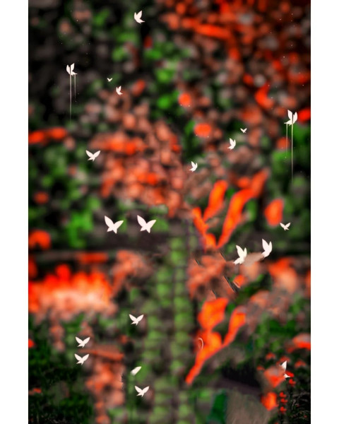 Glowing butterfly cb background