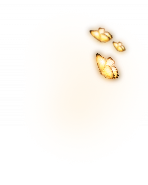 Glowing butterfly png images,butterfly transparent png images