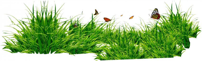 Grass editing png picsart (1)
