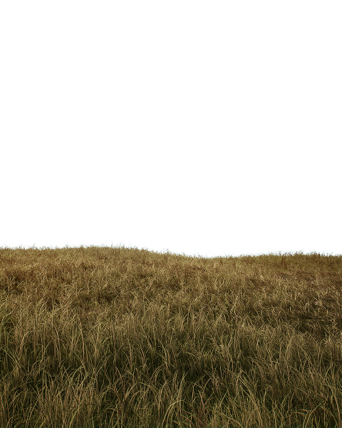 Grass Land transparent pngSurface transparent png
