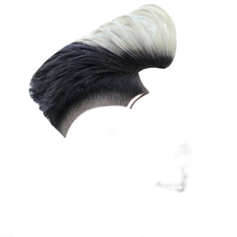 Hair style png download (1)