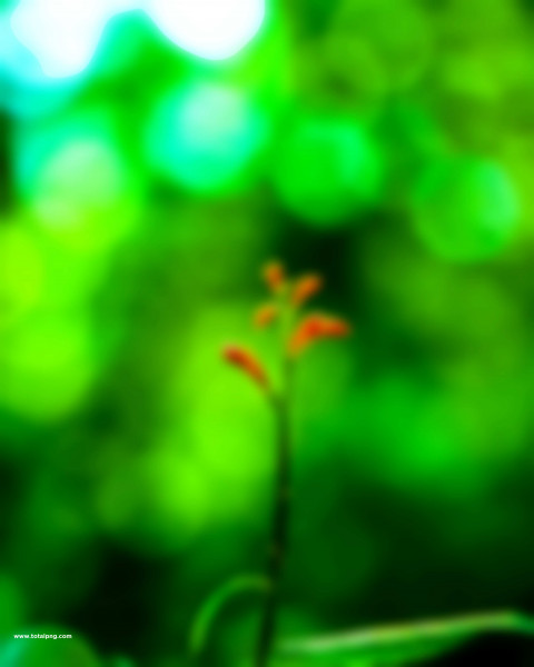 hard blur editing background