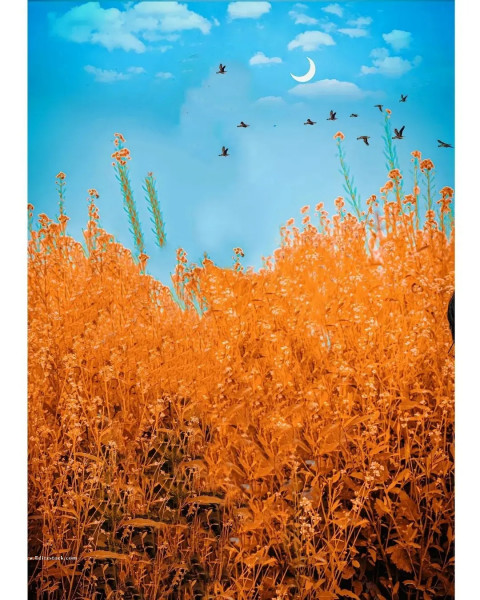 Hd Background Images For Manipulation Editing 1080pFree Download