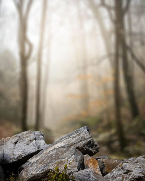 Hd blur editing background download (3)