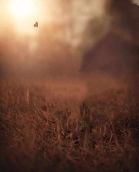 Hd cb editing background (2)