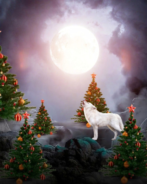 Hd christmas night editing background hd