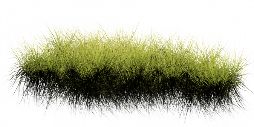 Hd grass transparent png