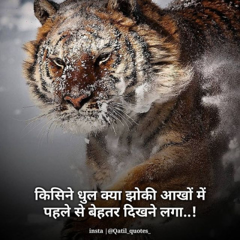 Hd Image  Attitude Status  (9)