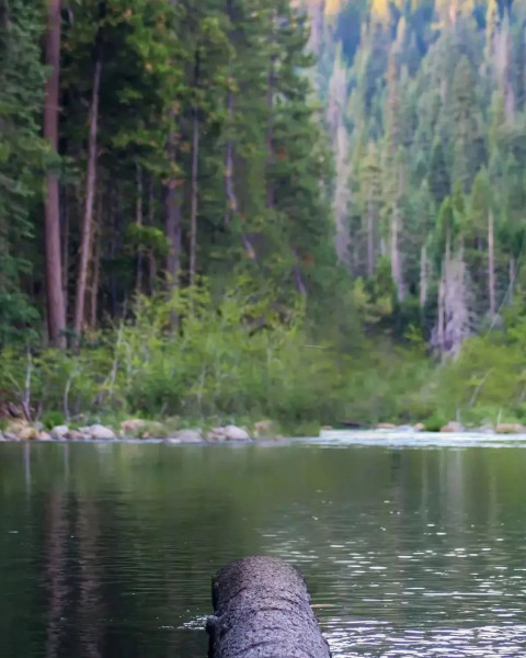 Hd viral editing Backgrounds