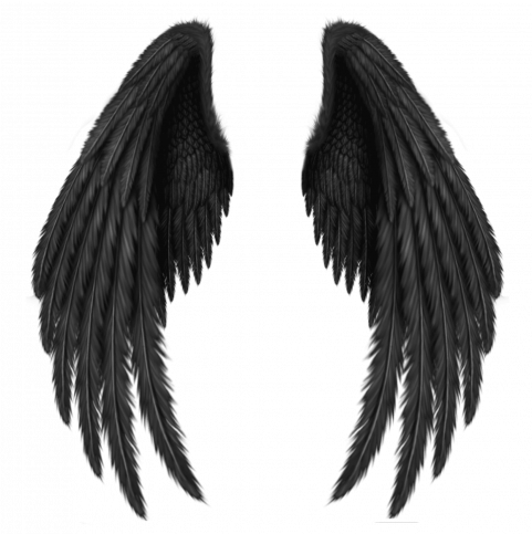 Hd wing png download