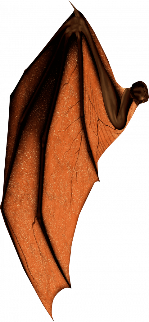 Hd wing png download