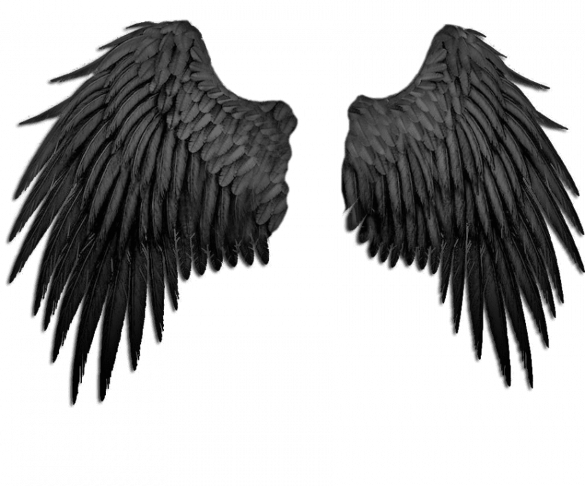 Hd wing png download