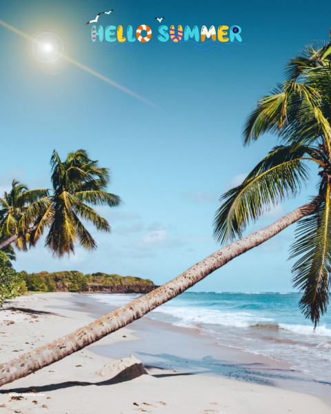 Hello summer hd editing background