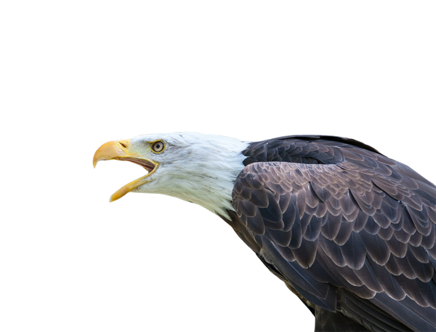 Holger PNG Transparent Images Free Download