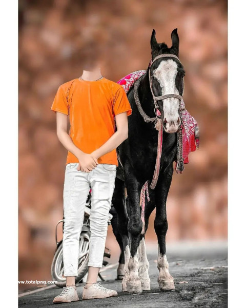 Horse rider cb background